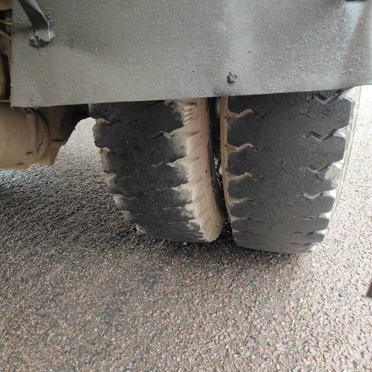 WhatsApp Image 2026-03-06 at 6.11.08 PM (2) - Copy