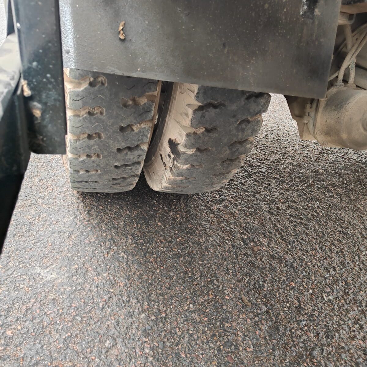 WhatsApp Image 2026-03-06 at 6.11.08 PM - Copy (2)